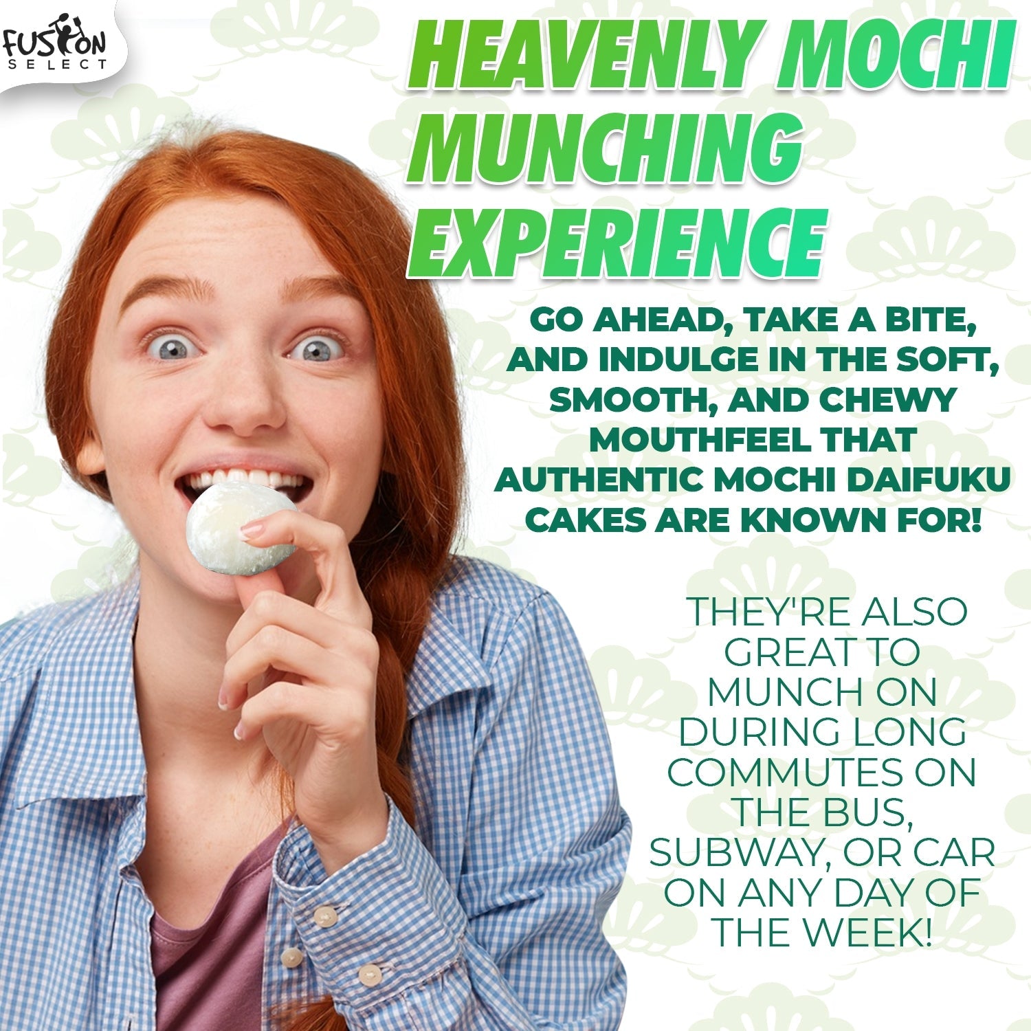 Fusion Select Japanese Mochi Variety Pack